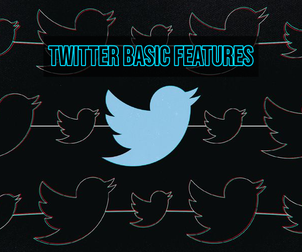 Twitter Basic Features